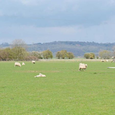 Owl Barn Βίλα Burmarsh Εξωτερικό φωτογραφία